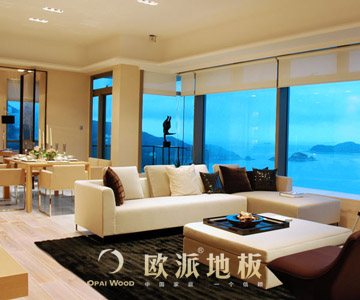 強(qiáng)化地板